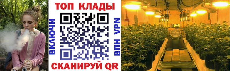 Как найти наркотики Череповец Псилоцибиновые грибы СОЛЬ ГАШ АМФ OMG как зайти Cocaine Мефедрон